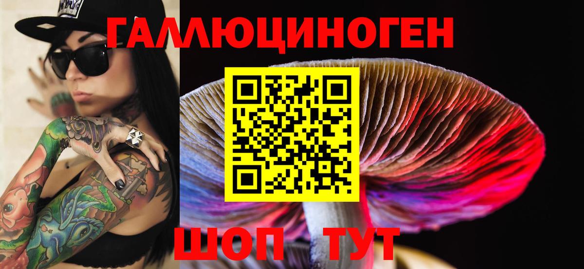 Галлюциногенные грибы Psilocybine cubensis Новоалтайск